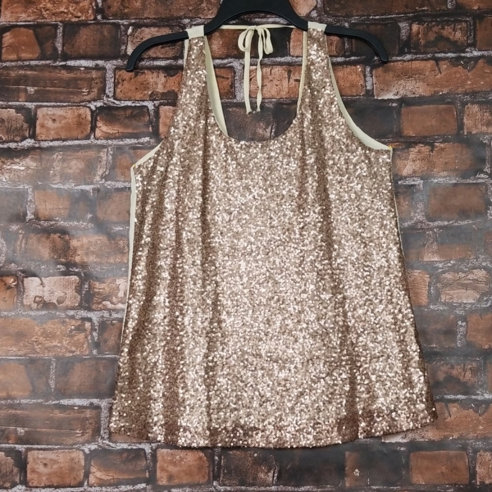 Rosebud | Sequin Front Sheer Tank Top